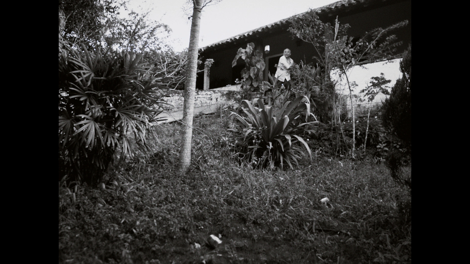 Frame 4 do projeto Alpendre