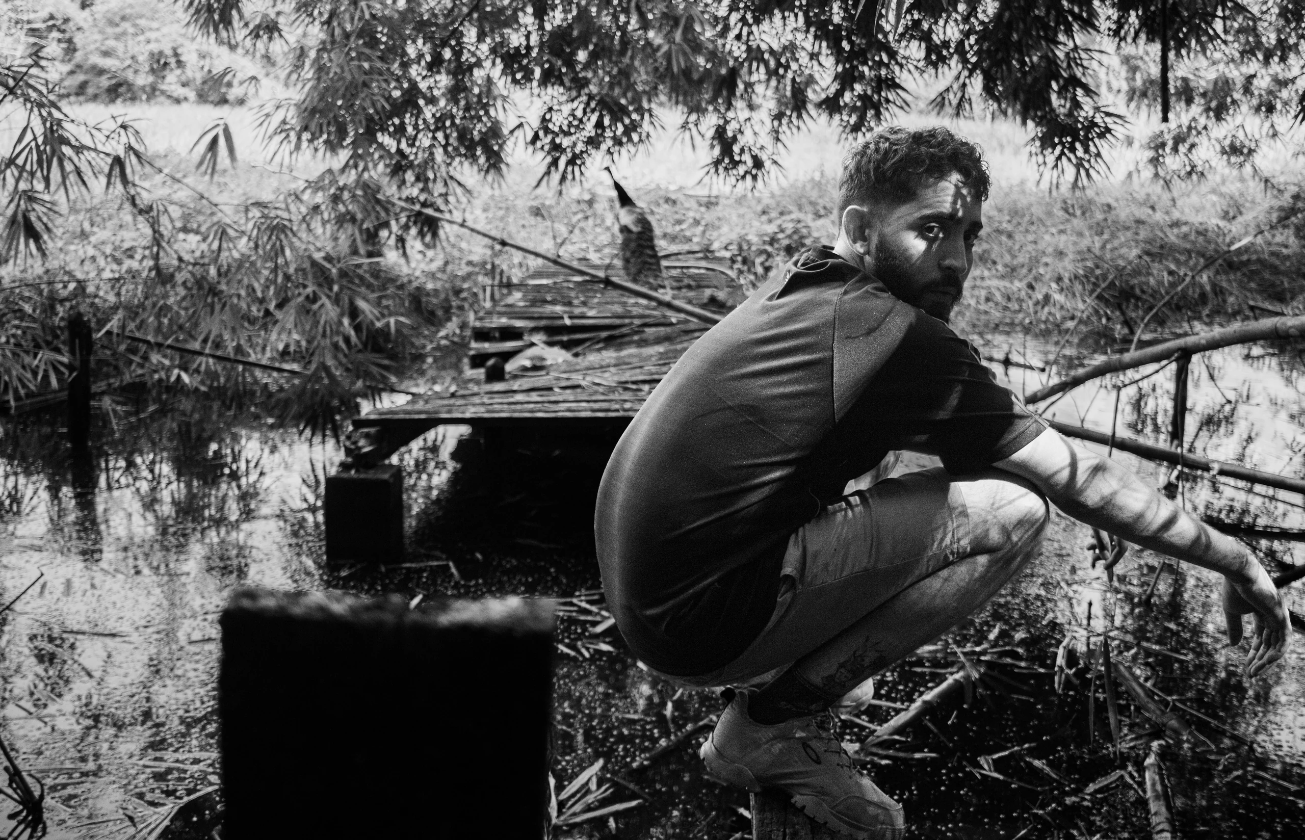 Still 3 do projeto Alpendre