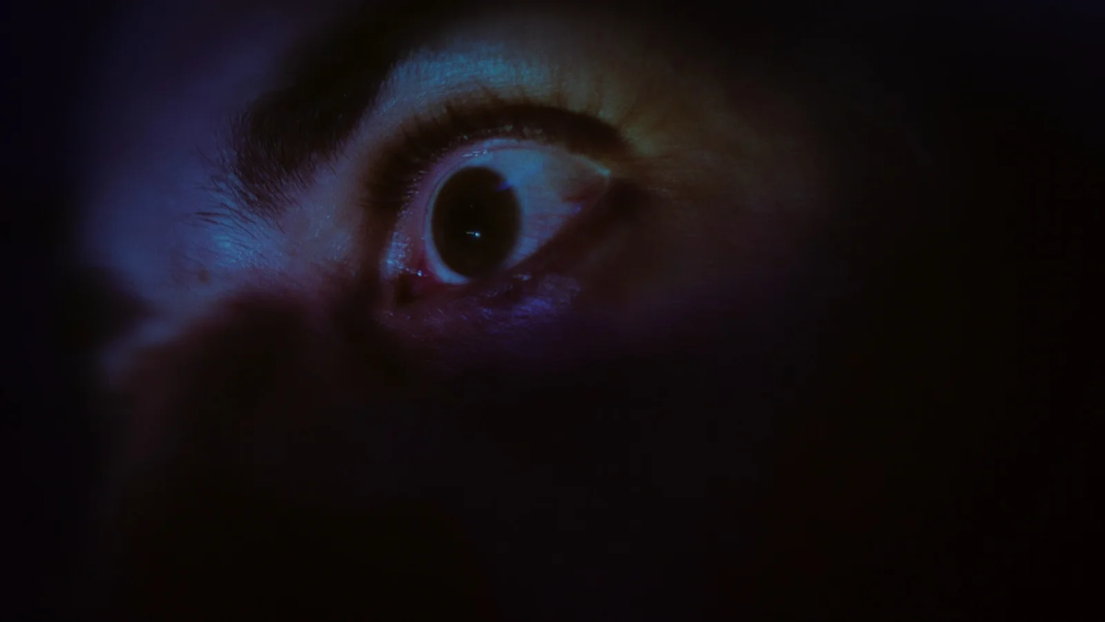 Frame de Anoitecer no Bairro das Memórias