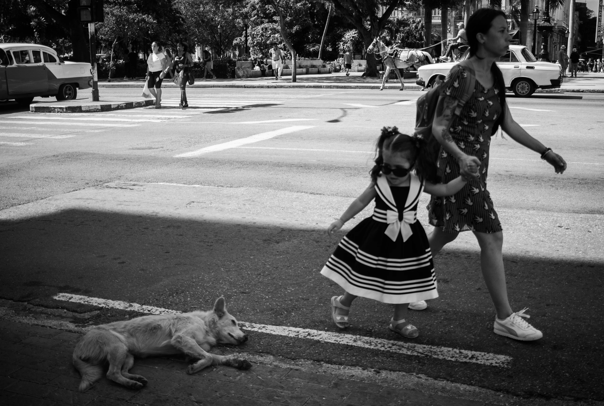 Galeria fotográfica 4 do projeto Cuba