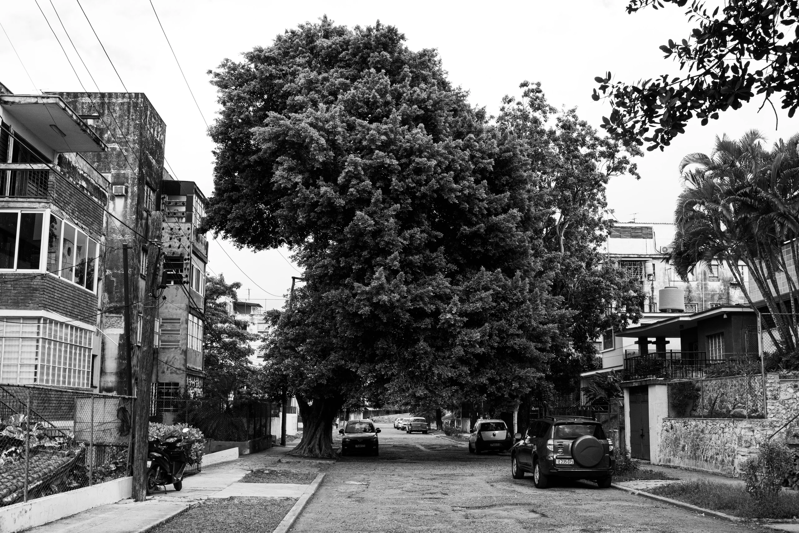 Galeria fotográfica 19 do projeto Cuba