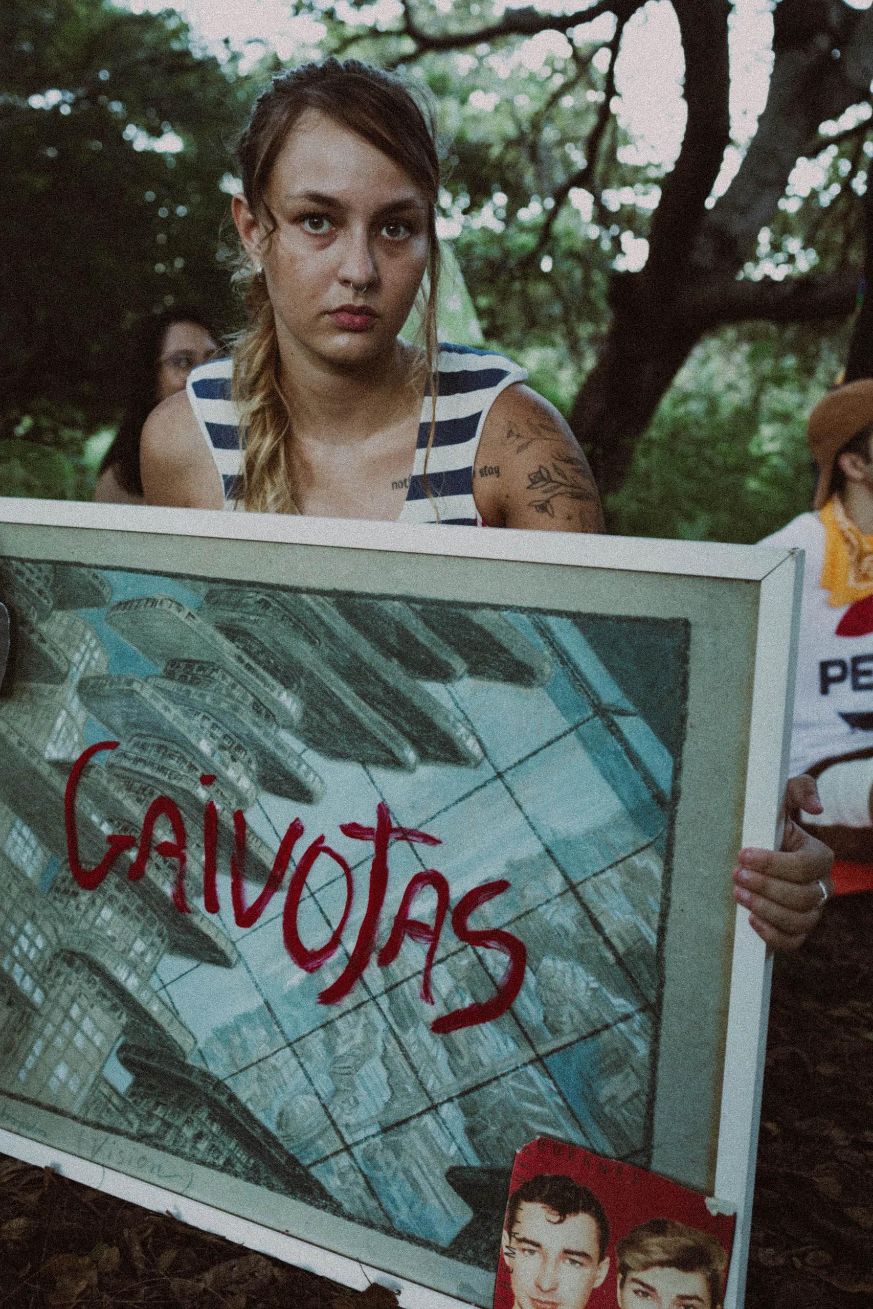 Still 4 do projeto Gaivotas