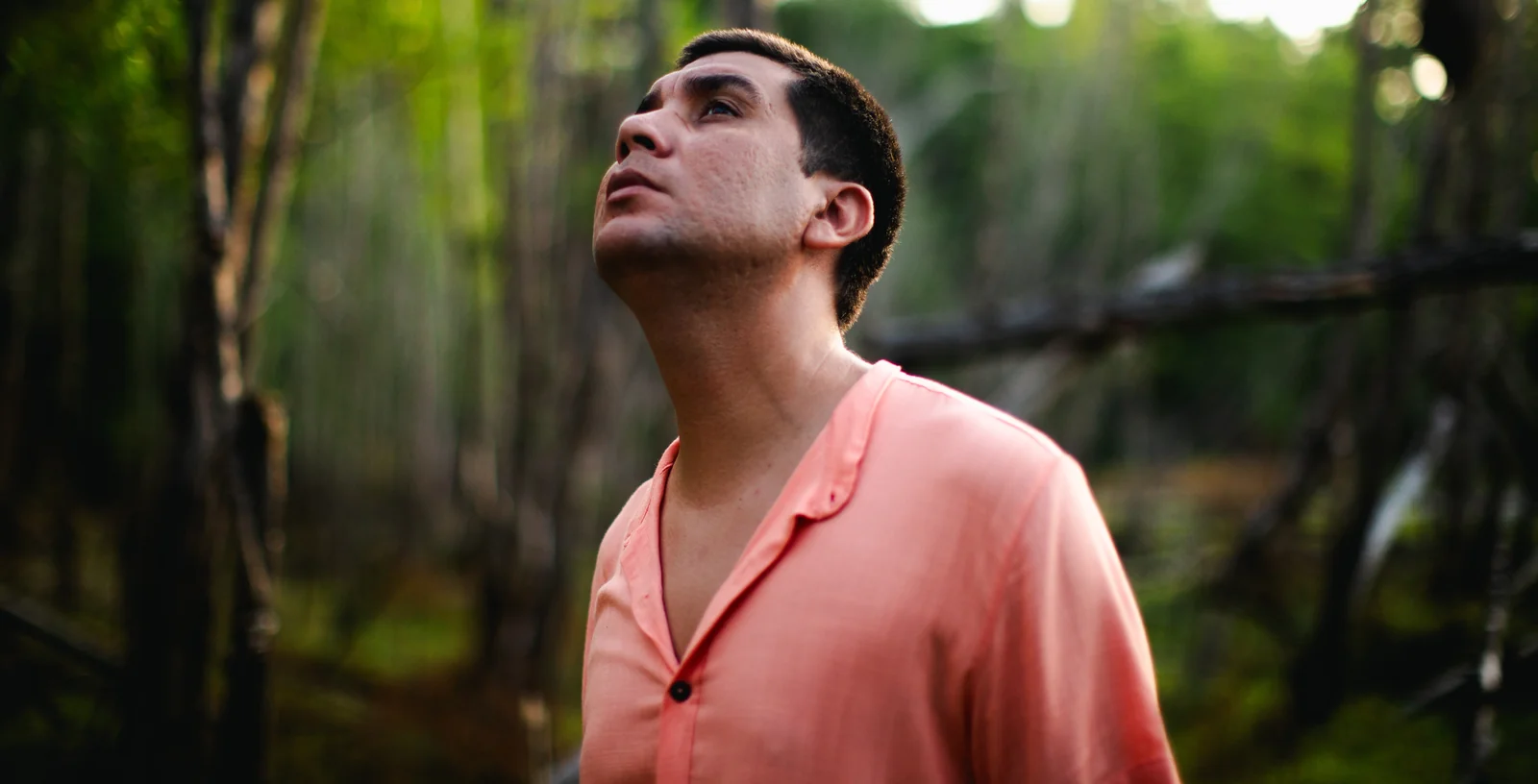 Still de Nevoeiro
