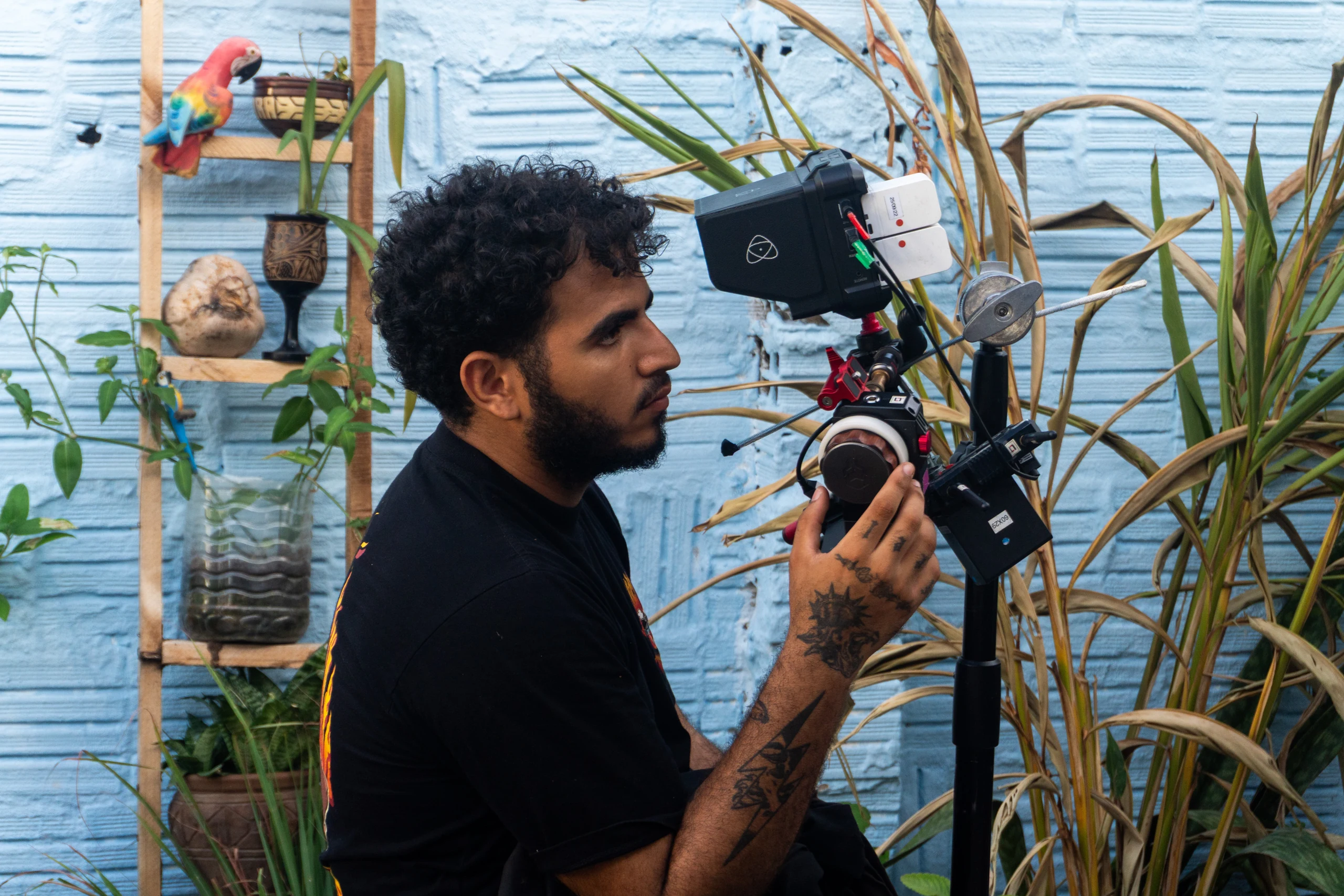 Still 23 do projeto Poranga